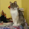 Отзыв от Тамара Королева